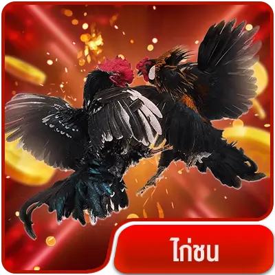 สมัคร-ไก่ชน